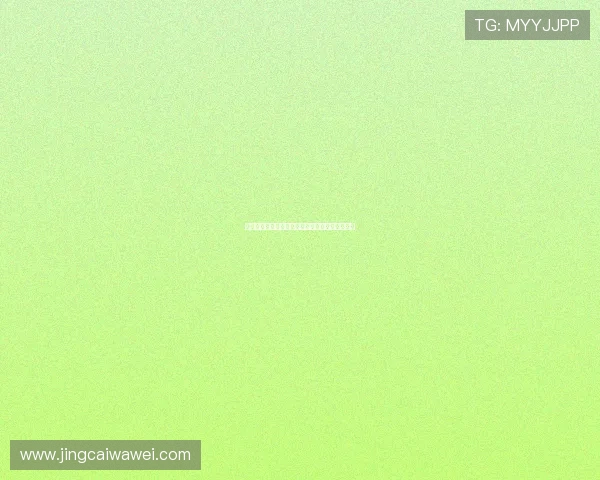 星空体育全站：覆盖多项运动项目的专业体育门户